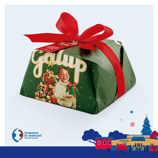 Panettone tradizionale da 750gr